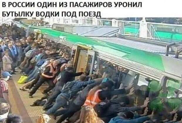 Шутки и мемы про алкоголь