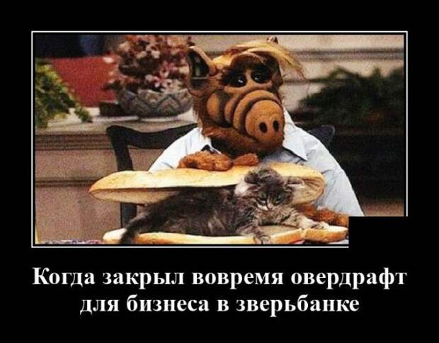 demotivatory-demotivator-smeshnye-demotivatory-demotivator-so-smyslom