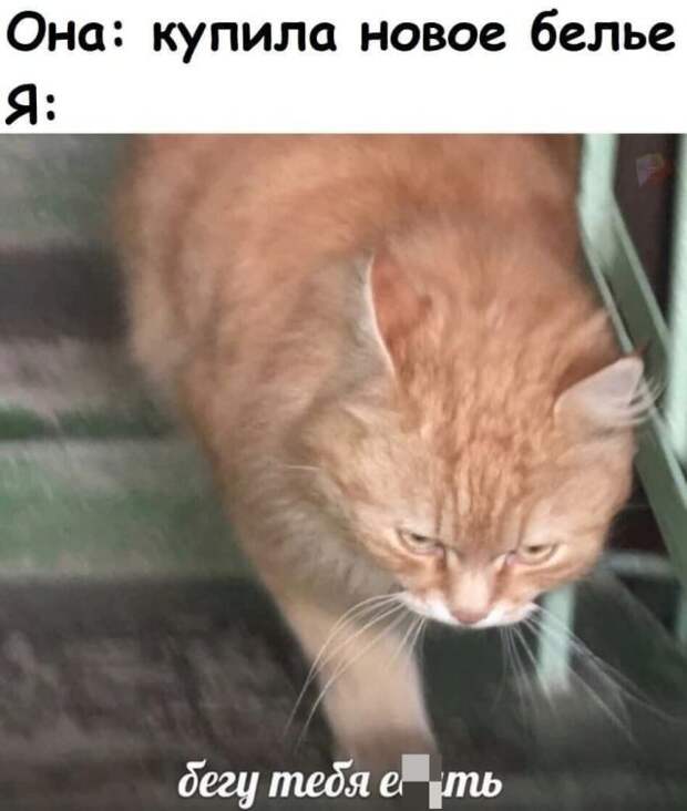 Мемы и приколы про &quot;это&quot;