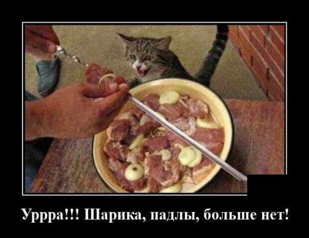 demotivatory-demotivator-smeshnye-demotivatory-demotivator-so-smyslom