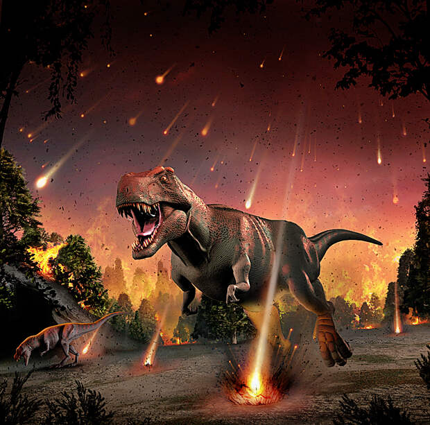 F0106923-Tyrannosaurs_fleei.jpg F0106923-Tyrannosaurs_fleei.jpg