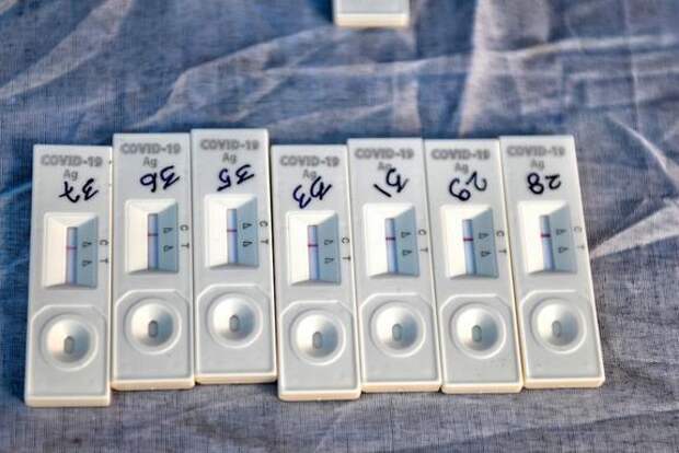 В Новгородской области начал распространяться штамм коронавируса «омикрон»