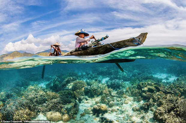 Коралловый риф у острова Адонара в Индонезии