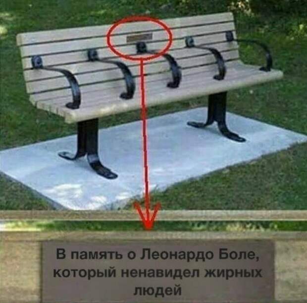 Прикольные картинки 24.08.17