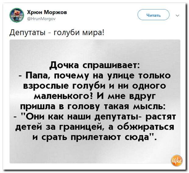 90.jpg