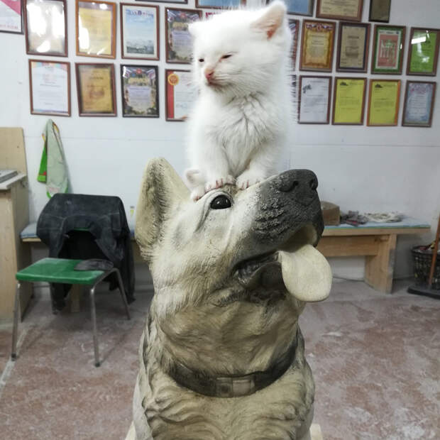 E7rtF9dabVY (700x700, 387Kb)