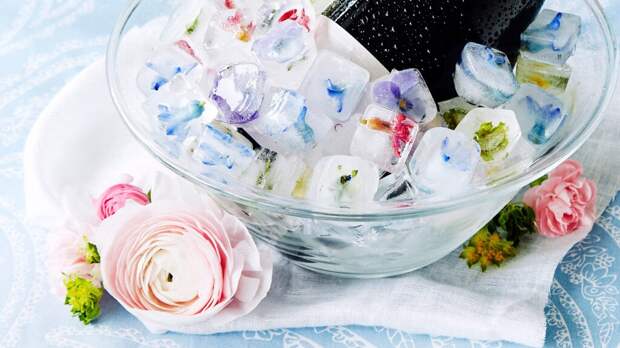 Криотерапия льдом в домашних условиях. Секрет красоты от Софи Лорен