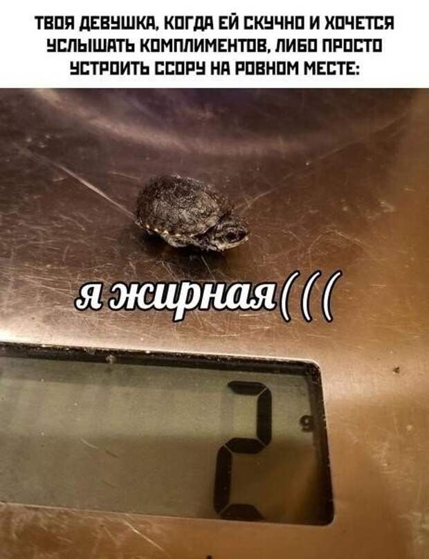 Немного шуток на тему отношений между мужчинами и женщинами