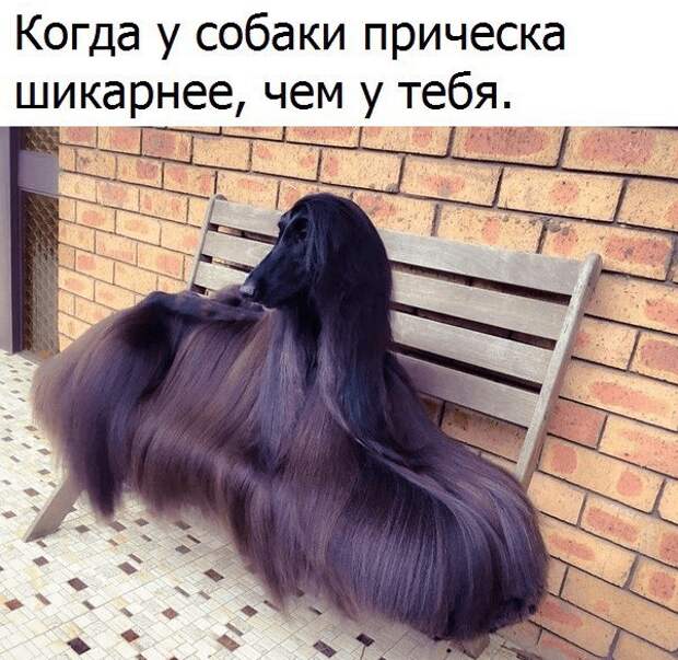 25 убойных картинок из соцсетей, которые сделают ваш день!