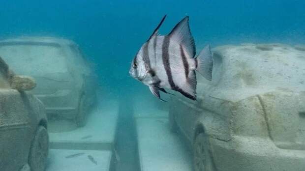 В Майами появилась подводная «пробка»