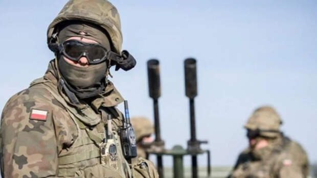 Польский наемник рассказал о плане захвата земель Украины: "Будем отжимать"