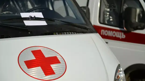 ТАСС: в Подмосковье три человека погибли при крушении вертолёта