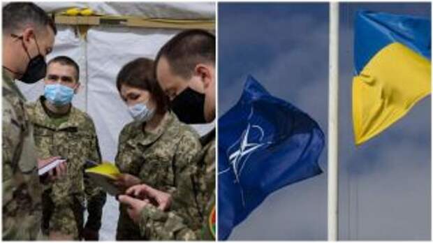 Украина впервые примет учения в противоминных учениях НАТО