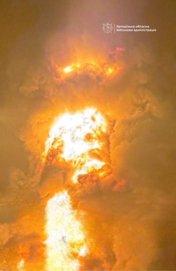 Зеленский блефует? Война до последнего украинца: план уже есть