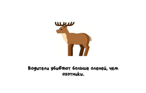 Короткие и интересные факты на все случаи жизни