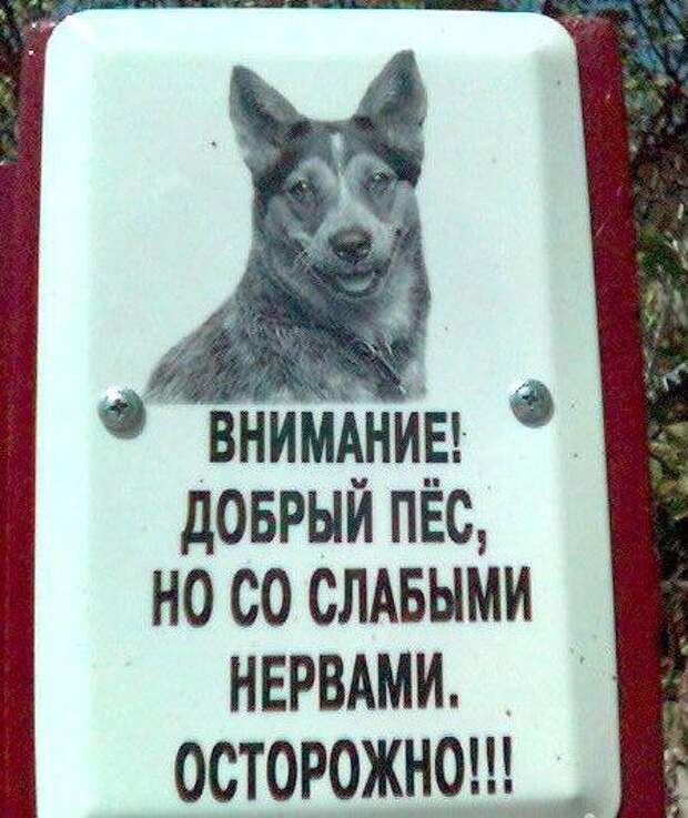 Объявления, правдивость которых не хочется проверять