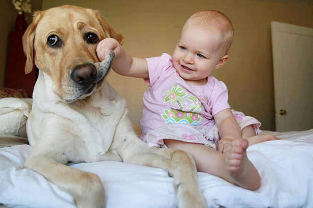 dogs-and-babies-14