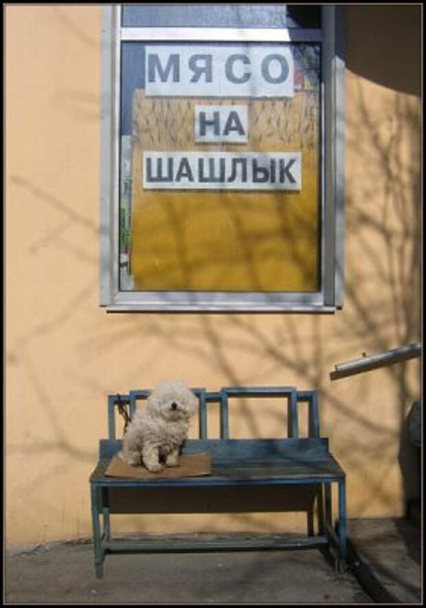 Прикольные надписи