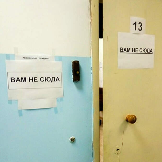«Они так уверенно это заявляют...» | Фото: Леди Вау.