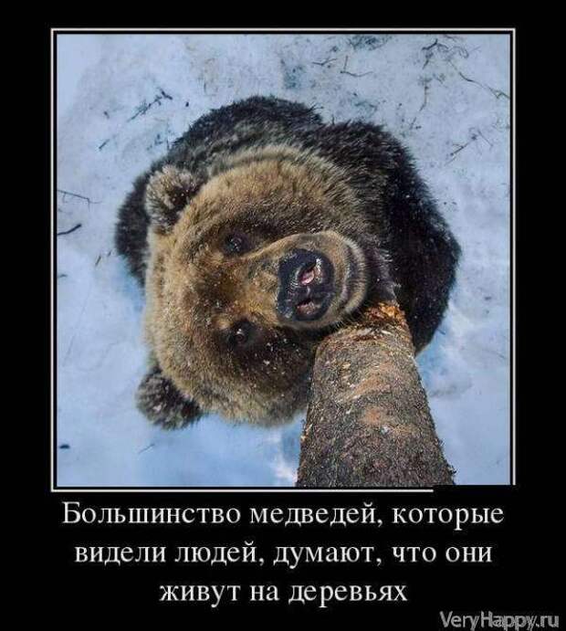 Демотиваторы. Подборка chert-poberi-chert-poberi-31500425032020-6 картинка chert-poberi-31500425032020-6