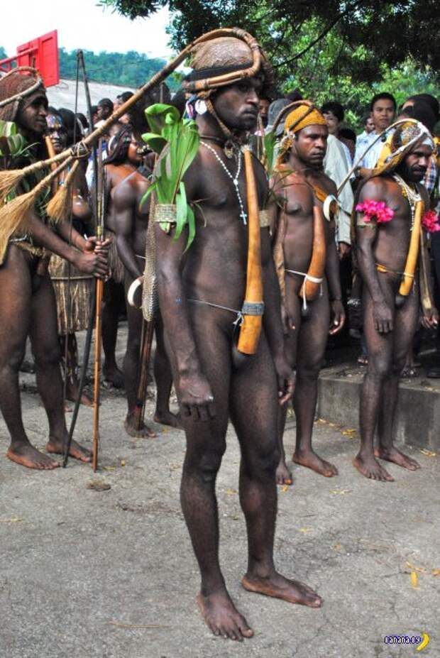 Папуасы из Новой Гвинеи