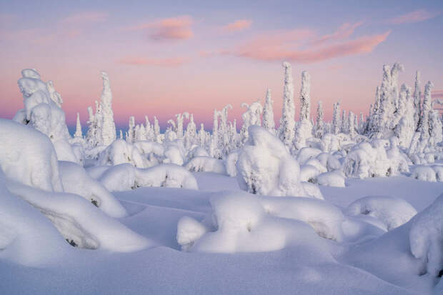 Зимнее утро. Северная Лапландия, Швеция