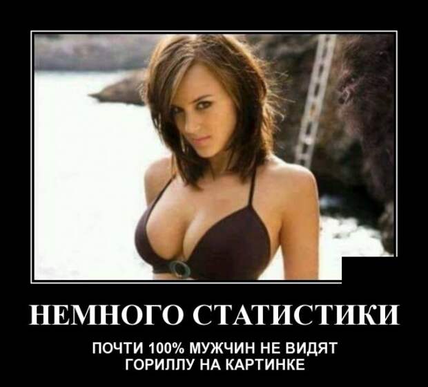 www.vsyako.net