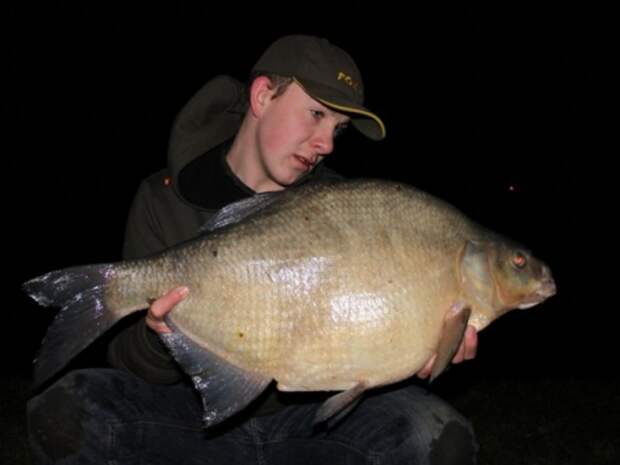 Самый большой лещ в мире. Можно ли найти трофей сейчас?