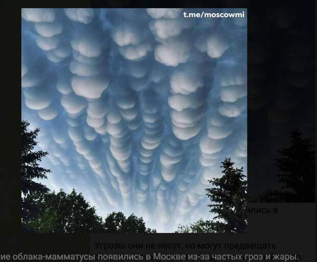 Жара до +39°C и ливни с градом: что творится с погодой в России