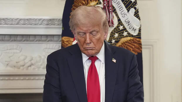 ЕС подготовил ответ на пошлины Трампа в 30%