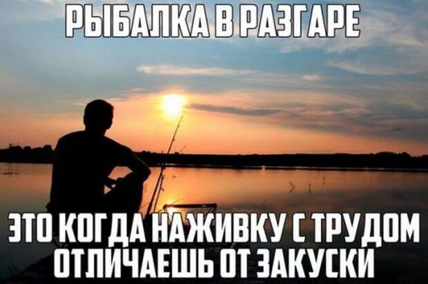 картинки
