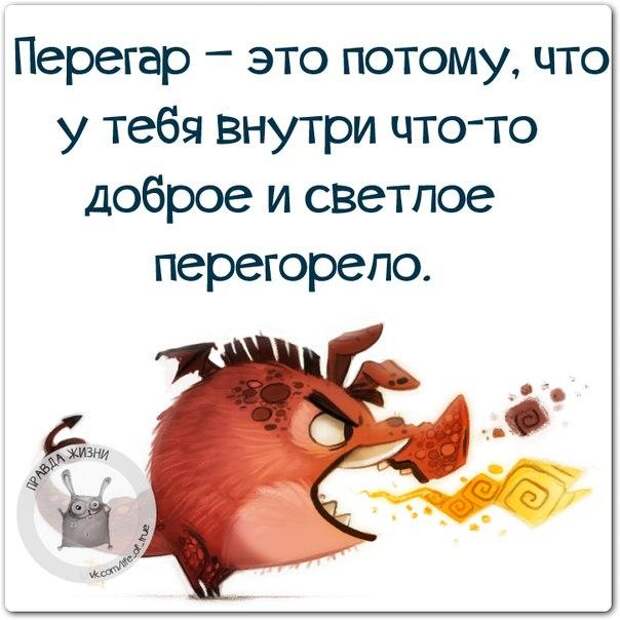 5672049_1461182882_frazki5 (604x604, 51Kb)