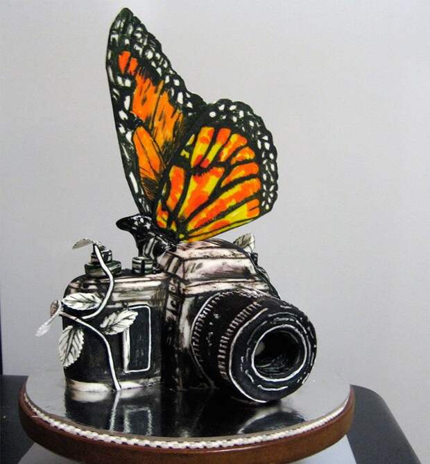 Threadcakes – чемпионат по выпечке тортов онлайн бабочка фотоаппарат