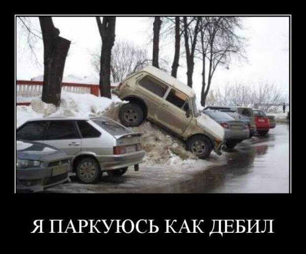 Демотиваторы " 101 %" 04/04/12