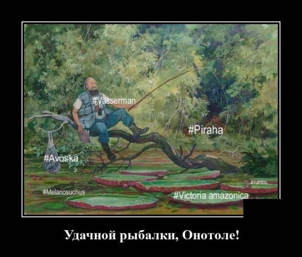 Демотиватор про Вассермана