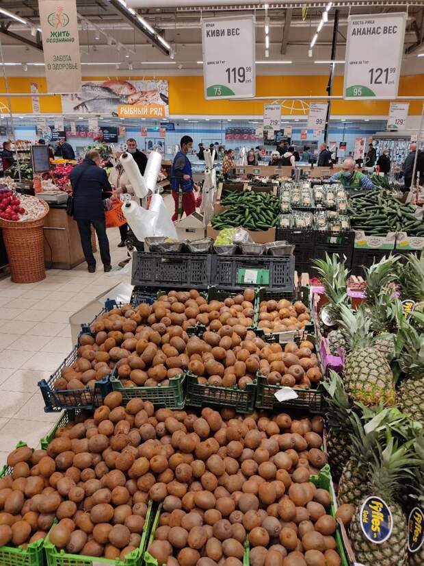 Вытащил из киви крошечные косточки и посадил их. Показываю, как они росли в течение 10 недель.