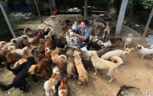 Добрая душа :-)