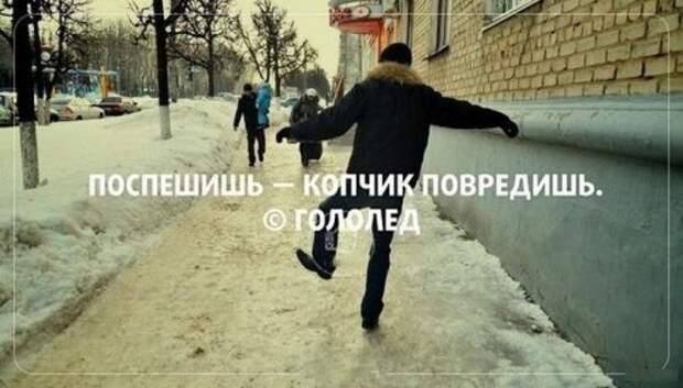 Картинки и фото с приколами (45 шт)