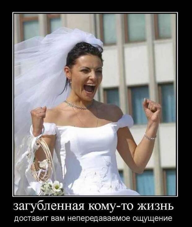 demotivatory-demotivator-smeshnye-demotivatory-demotivator-so-smyslom demotivatory-demotivator-smeshnye-demotivatory-demotivator-so-smyslom