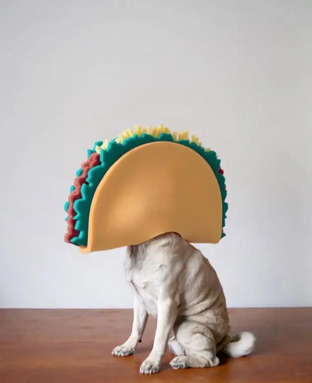 Тако. Фото: Jeremy Veach. Тако. Фото: Jeremy Veach.