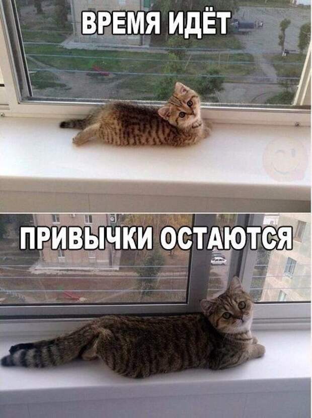 Так себе картинки