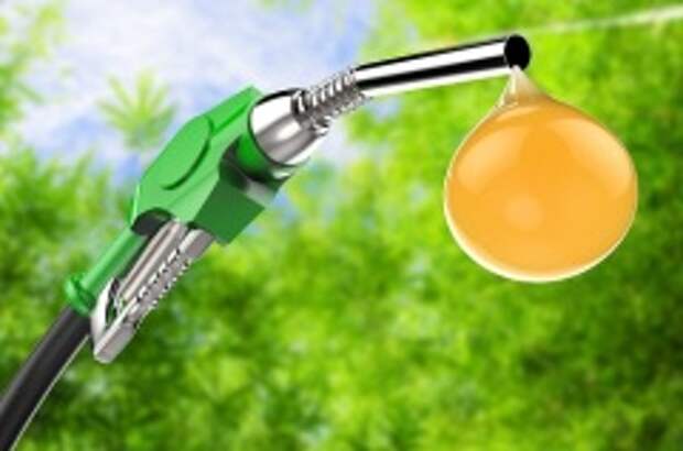 Международный день биодизеля