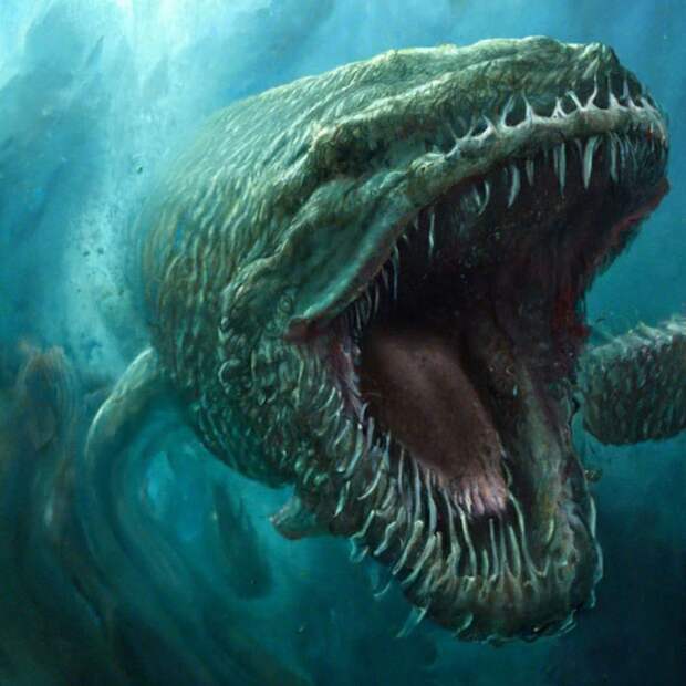 5 Азовское море