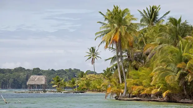 Землетрясение магнитудой 5,2 произошло у берегов Панамы