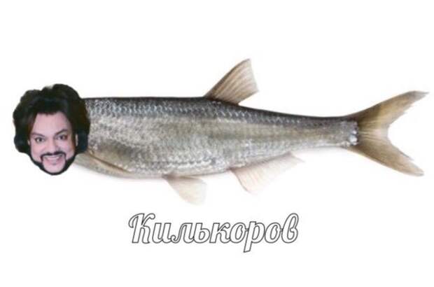 www.vsyako.net