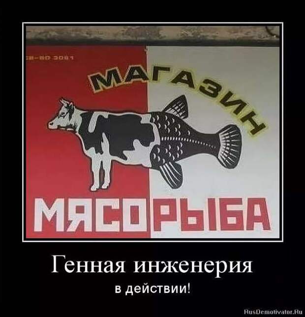 Прикольные вывески. Подборка chert-poberi-vv-chert-poberi-vv-54150625062020-7 картинка chert-poberi-vv-54150625062020-7