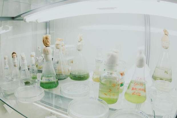 Образование в России развивается