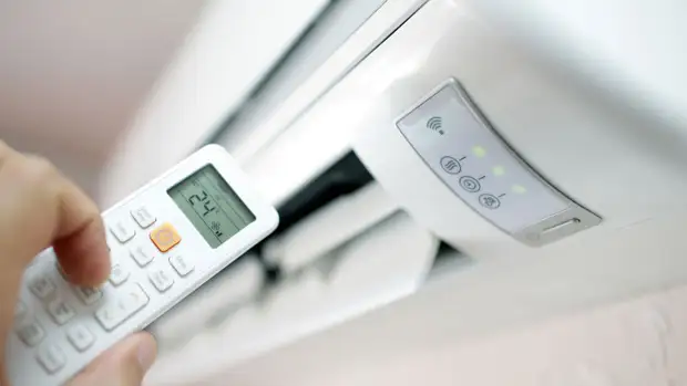 Лор Зайцев: неочищенные кондиционеры распространяют микроклещей