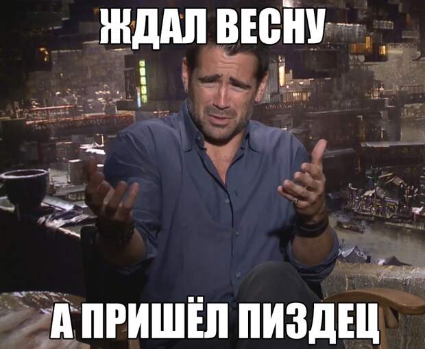 Веселые картинки с надписями для настроения (11 фото) Веселые картинки с надписями для настроения (11 фото)