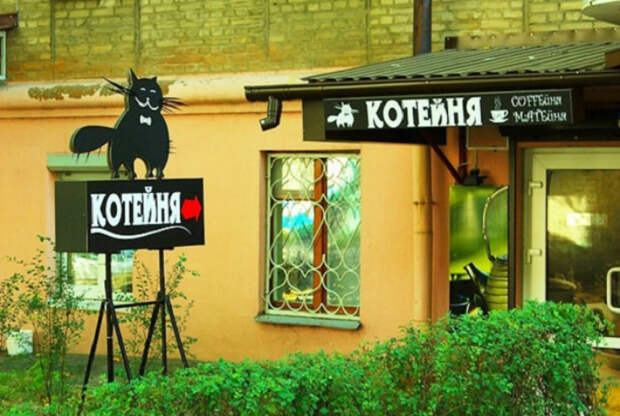 Нельзя зарабатывать деньги на любви к котикам! Нельзя зарабатывать деньги на любви к котикам!
